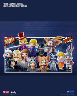 MOLLY × Warner Bros 100th Anniversary Blind Box Series