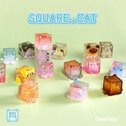 Square Cat Blind Bag Series