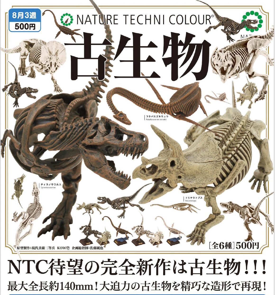 A blind box collectible featuring a variety of dinosaur skeletons, including a detailed dinosaur skeleton close-up. NATURE TECHNI COLOUR Gacha preorder - Ships Q3 2024.