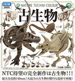 A blind box collectible featuring a variety of dinosaur skeletons, including a detailed dinosaur skeleton close-up. NATURE TECHNI COLOUR Gacha preorder - Ships Q3 2024.