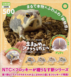 A muddy American frog Gacha Series