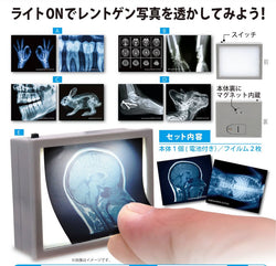 X-ray light Gacha Series - Preorder showing a finger touching an x-ray film, featuring various x-ray images, including a human body and a rabbit.