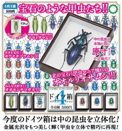 STC German Box Magnet Collection 4 Gacha Series in a framed display, featuring a black bug with a green head. Preorder for April 2025.