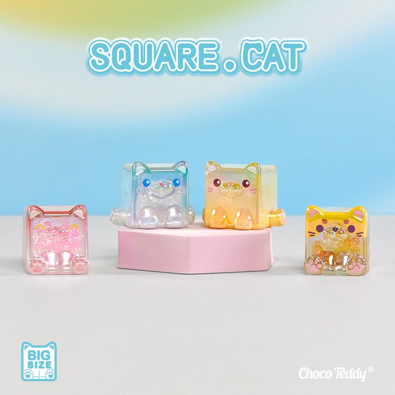 Square Cat Blind Bag Series