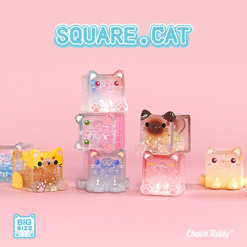 Square Cat Blind Bag Series