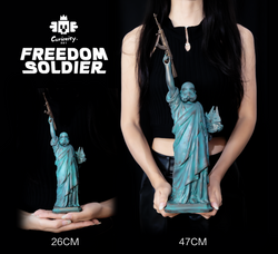 Freedom Soldier