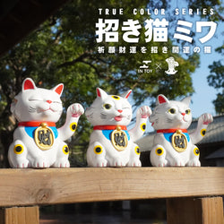 Three-faced cat TURE COLOR-white cat by Art of Hsin Ho