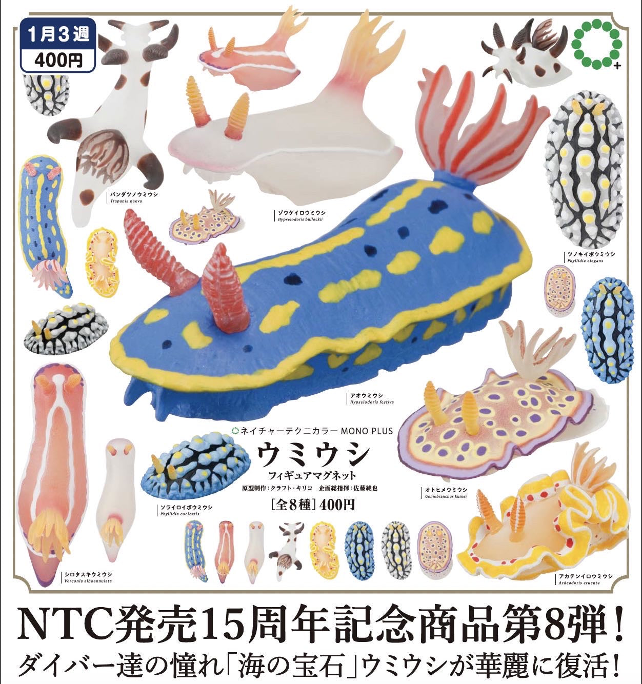 Sea Slug Figure Magnet Gacha