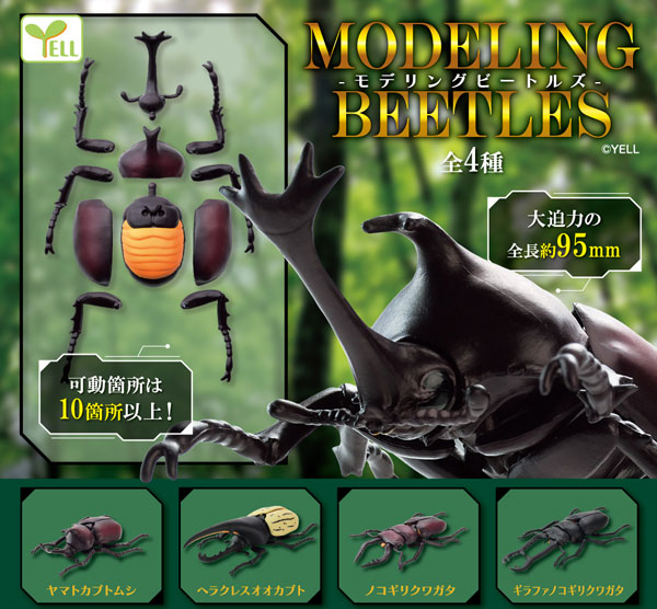 Modeling Beetles Blind Box Series