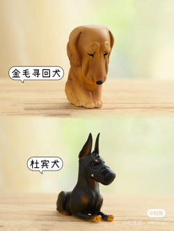 Cute Dog Story Blind Box Series