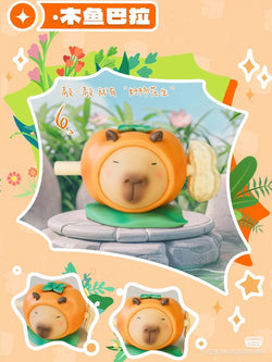 Capybara Little Pig Blind Box Series