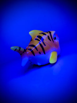 Krash!! Tiger Shark by 5th Turtle