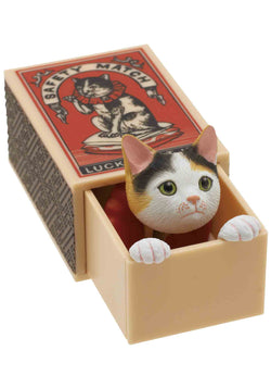 Cat Peek Matchbox Blind Box