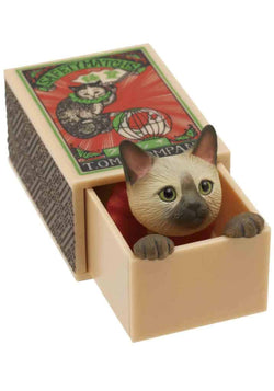 Cat Peek Matchbox Blind Box