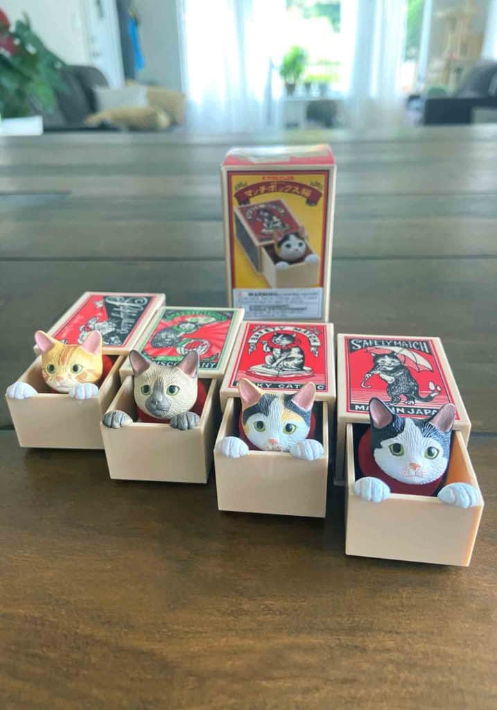 Cat Peek Matchbox Blind Box