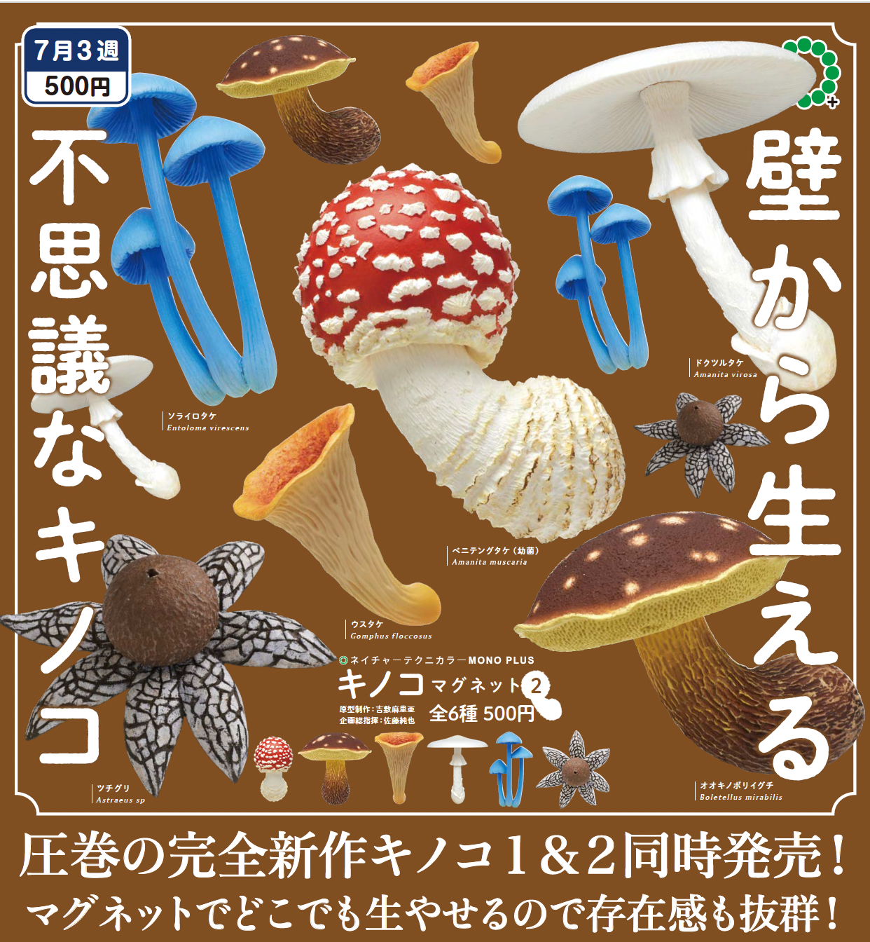 A blind box toy store's Mysterious Mushroom Gacha Series poster featuring various mushroom types. Preorder now for Aug 2024.