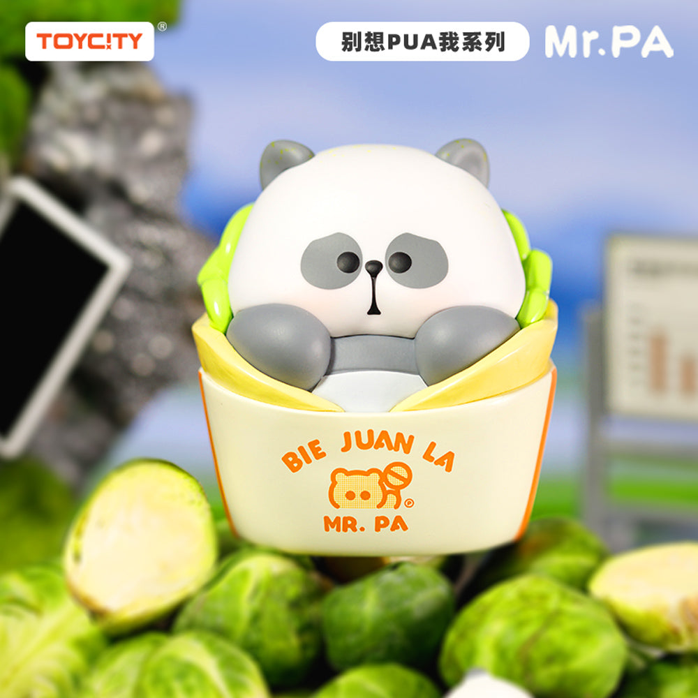 A blind box toy series featuring Mr PA Don't Try To Pua Me, with 8 regular designs and 1 secret. Preorder now for June 2024.