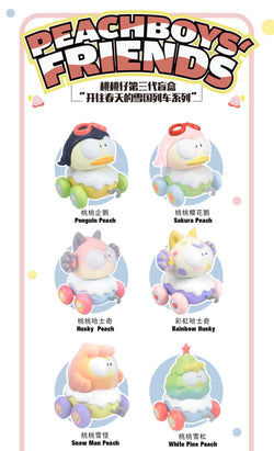 Peach Boys Friends Blind Box Series