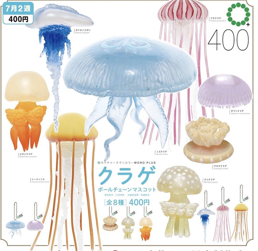 A group of jellyfish and a white object close-up, part of NTC MONO + jellyfish ball chain Gacha.